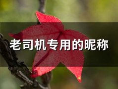 老司机专用的昵称(精选76个)