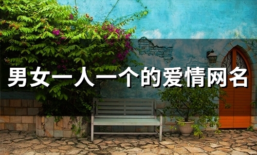 男女一人一个的爱情网名(118个) 男女一人一个的爱情网名(118个)