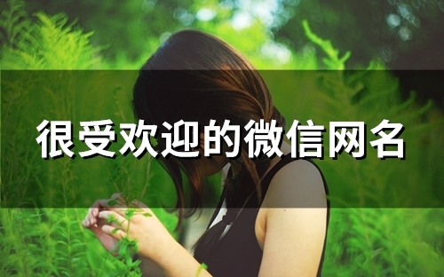 很受欢迎的微信网名(精选91个)