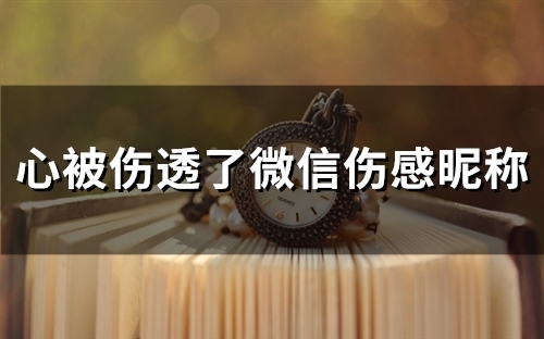 心被伤透了微信伤感昵称(精选112个)