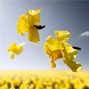 2023年最幸运头像大全(30张)