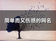 简单而又伤感的网名(精选160个)