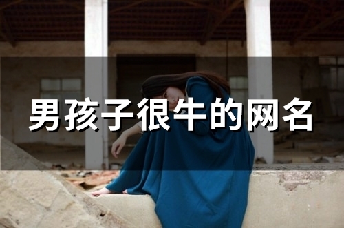 男孩子很牛的网名(精选131个) 男孩子很牛的网名(精选131个)