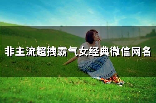 非主流超拽霸气女经典微信网名(精选147个) 非主流超拽霸气女经典微信网名(精选147个)