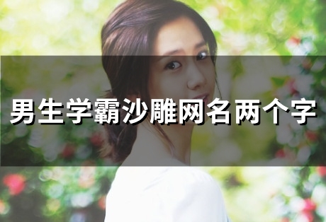男生学霸沙雕网名两个字(100个)