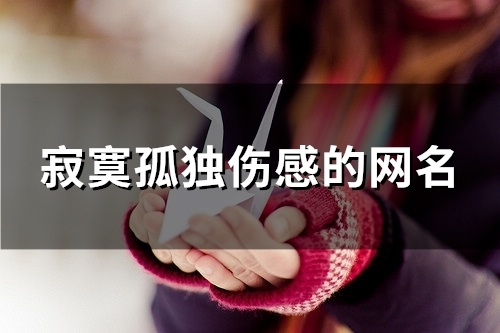 寂寞孤独伤感的网名(精选104个)