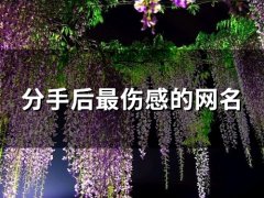 分手后最伤感的网名(140个)