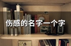 伤感的名字一个字(122个)