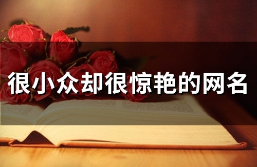 很小众却很惊艳的网名(128个) 很小众却很惊艳的网名(128个)