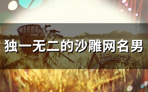 独一无二的沙雕网名男(79个) 独一无二的沙雕网名男(79个)