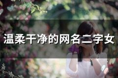 温柔干净的网名二字女(精选125个)