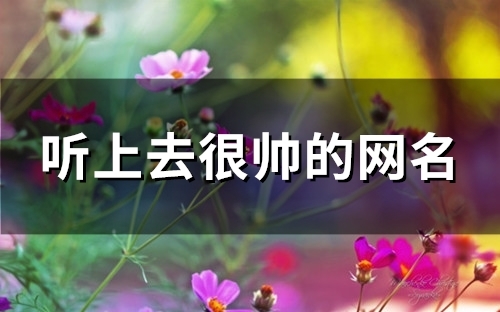 听上去很帅的网名(91个) 听上去很帅的网名(91个)