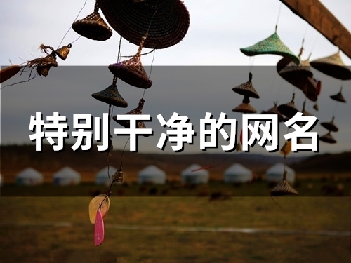 特别干净的网名(157个)