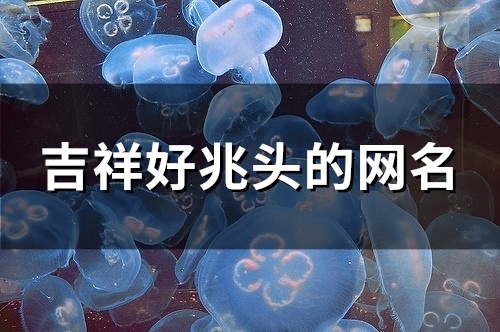 吉祥好兆头的网名(97个)