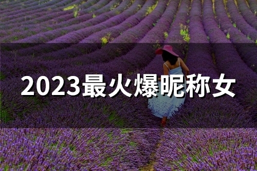 2023最火爆昵称女(精选94个) 2023最火爆昵称女(精选94个)