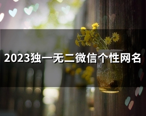 2023独一无二微信个性网名(135个)