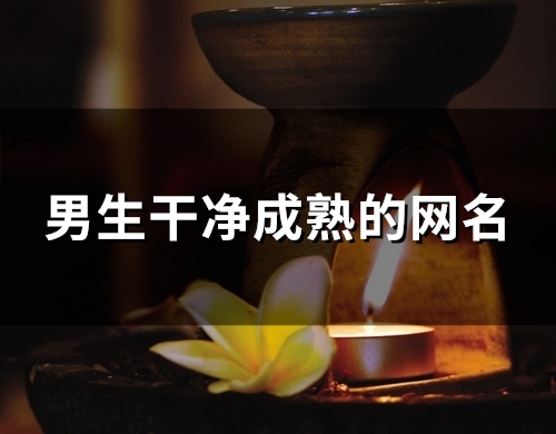 男生干净成熟的网名(157个)