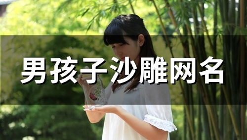 男孩子沙雕网名(99个) 男孩子沙雕网名(99个)