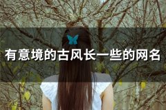 有意境的古风长一些的网名(123个)