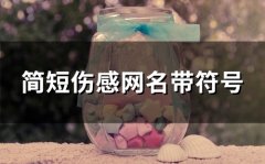 简短伤感网名带符号(116个)