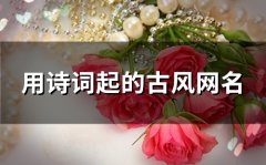 用诗词起的古风网名(89个)