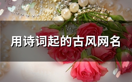 用诗词起的古风网名(89个)