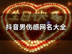抖音男伤感网名大全(精选89个)