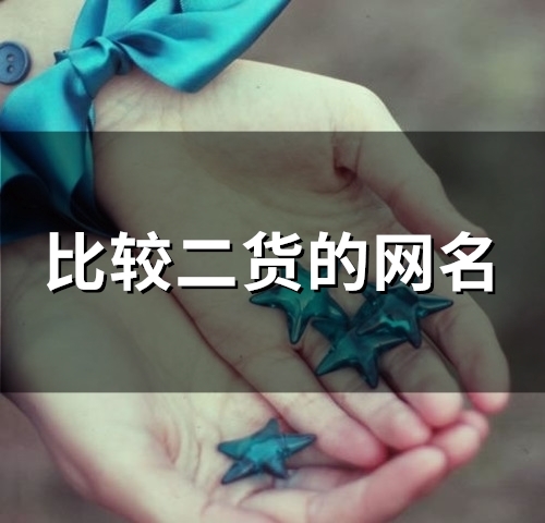 比较二货的网名(精选112个)