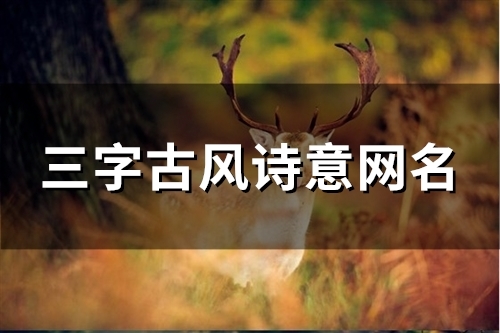 三字古风诗意网名(精选123个)