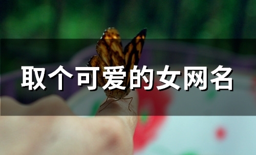 取个可爱的女网名(131个) 取个可爱的女网名(131个)