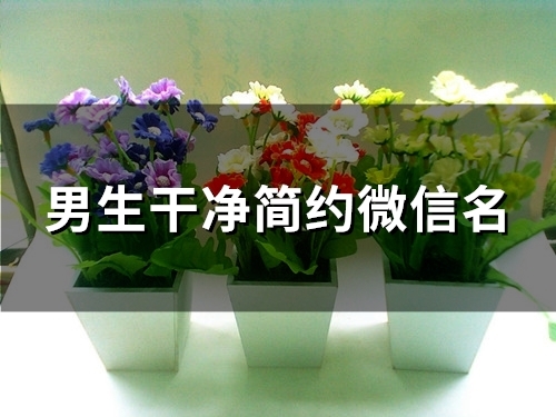 男生干净简约微信名(126个)