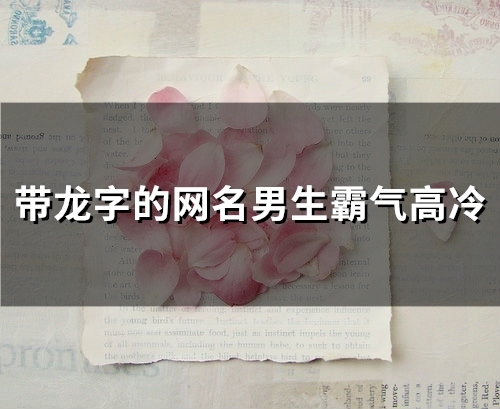 带龙字的网名男生霸气高冷(精选83个)