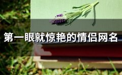 第一眼就惊艳的情侣网名(精选124个)