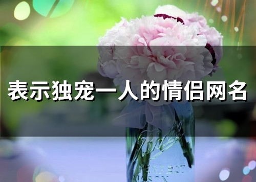 表示独宠一人的情侣网名(精选81个) 表示独宠一人的情侣网名(精选81个)