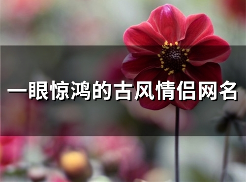 一眼惊鸿的古风情侣网名(91个)