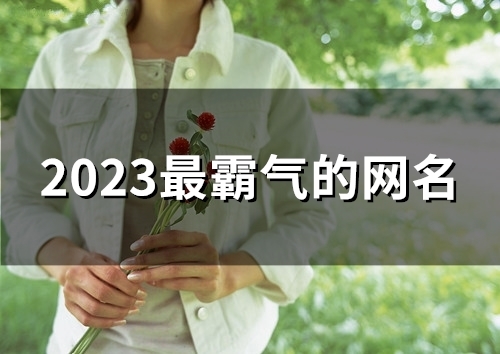 2023最霸气的网名(82个)