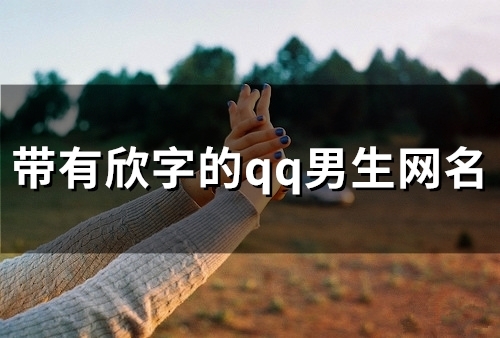 带有欣字的qq男生网名(39个)