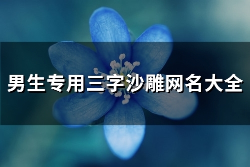 男生专用三字沙雕网名大全(80个) 男生专用三字沙雕网名大全(80个)