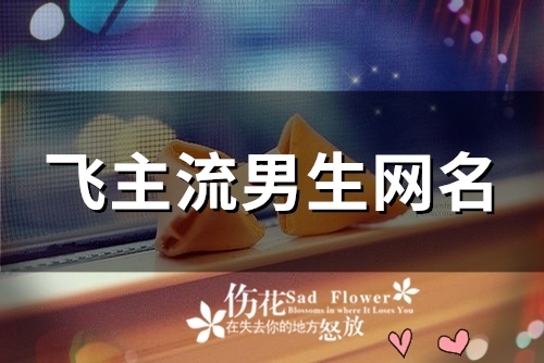 飞主流男生网名(精选149个)
