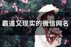 霸道又现实的微信网名(143个)