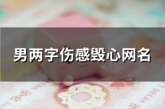男两字伤感毁心网名(精选90个)
