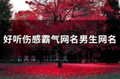 好听伤感霸气网名男生网名(精选101个)