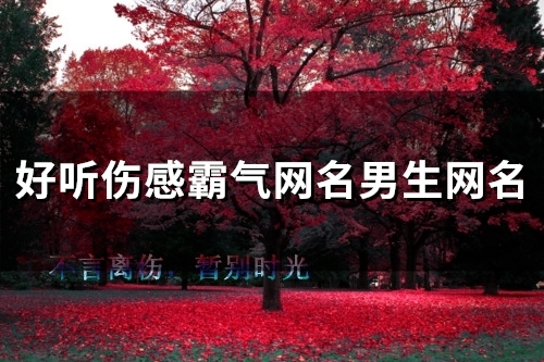 好听伤感霸气网名男生网名(精选101个) 好听伤感霸气网名男生网名(精选101个)