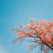 2023年最牛微信头像(精选22张)