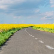 2023属龙女最吉利头像(精选14张)