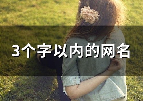 3个字以内的网名(109个)
