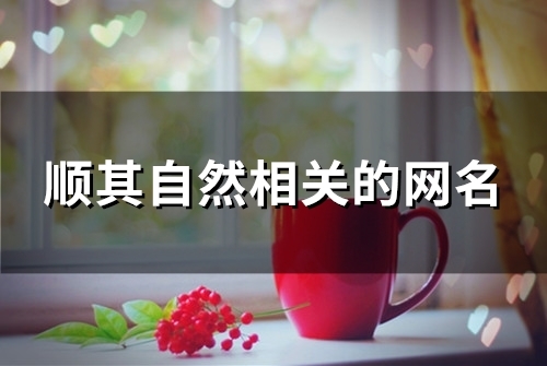 顺其自然相关的网名(精选106个) 顺其自然相关的网名(精选106个)