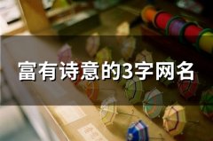 富有诗意的3字网名(精选119个)