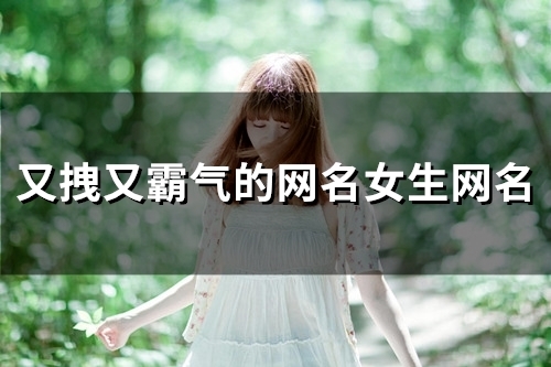 又拽又霸气的网名女生网名(150个) 又拽又霸气的网名女生网名(150个)