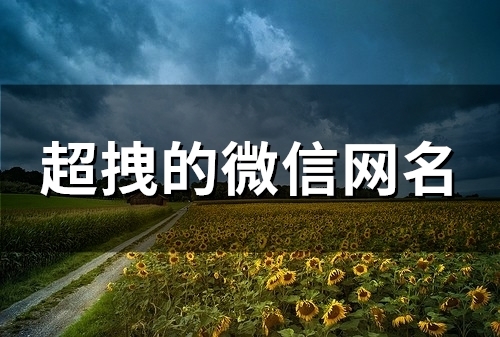 超拽的微信网名(精选110个)